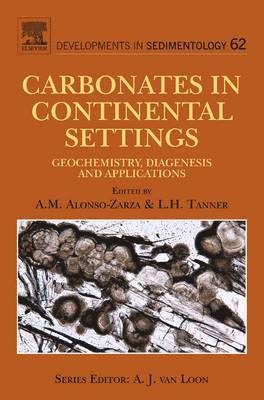 bokomslag Carbonates in Continental Settings