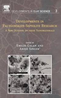 bokomslag Developments in Palygorskite-Sepiolite Research