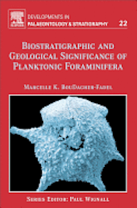 Biostratigraphic and Geological Significance of Planktonic Foraminifera