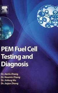 bokomslag PEM Fuel Cell Testing and Diagnosis