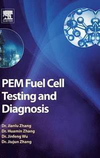 bokomslag PEM Fuel Cell Testing and Diagnosis