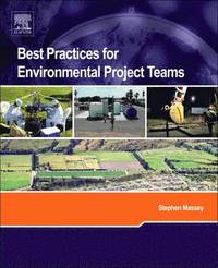 bokomslag Best Practices for Environmental Project Teams