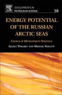 bokomslag Energy Potential of the Russian Arctic Seas