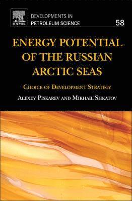 bokomslag Energy Potential of the Russian Arctic Seas