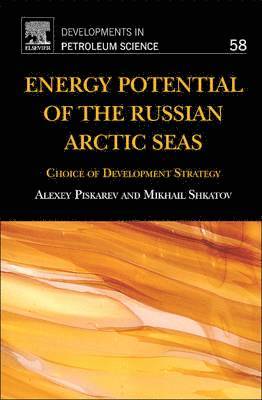 Energy Potential of the Russian Arctic Seas