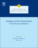 Evolution of the Primate Brain, Inbunden