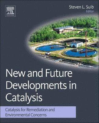 bokomslag New and Future Developments in Catalysis