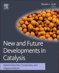 bokomslag New and Future Developments in Catalysis