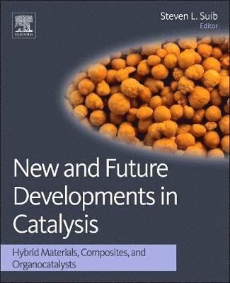 New and Future Developments in Catalysis