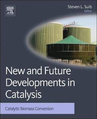 bokomslag New and Future Developments in Catalysis