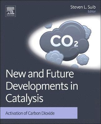 bokomslag New and Future Developments in Catalysis