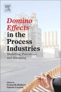 bokomslag Domino Effects in the Process Industries