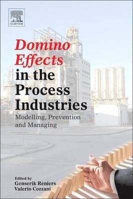 Domino Effects in the Process Industries 1