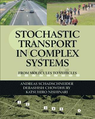 bokomslag Stochastic Transport in Complex Systems