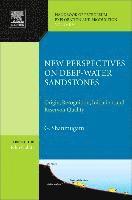 bokomslag New Perspectives on Deep-water Sandstones