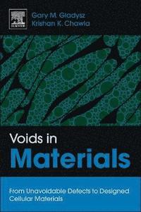 bokomslag Voids in Materials