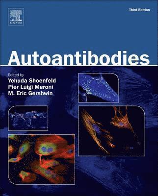 bokomslag Autoantibodies