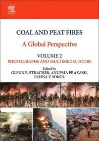 bokomslag Coal and Peat Fires: A Global Perspective