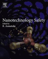 bokomslag Nanotechnology Safety