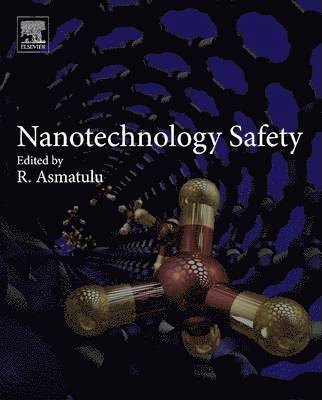 bokomslag Nanotechnology Safety