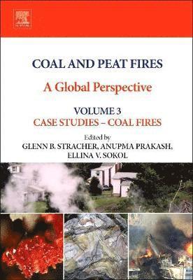 bokomslag Coal and Peat Fires: A Global Perspective