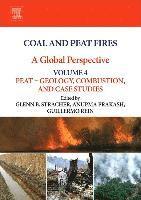 bokomslag Coal and Peat Fires: A Global Perspective