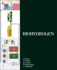 bokomslag Biohydrogen