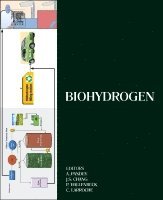Ashok Pandey, Jo-Shu Chang, Patrick C. Hallenbeck, Christian Larroche - Biohydrogen, Inbunden