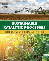 bokomslag Sustainable Catalytic Processes
