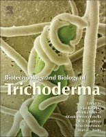 Vijai G. Gupta, Monika Schmoll, Alfredo Herrera-Estrella, Dr. R. S. Upadhyay, Irina Druzhinina, Maria Tuohy - Biotechnology and Biology of Trichoderma, Inbunden
