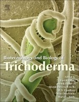 bokomslag Biotechnology and Biology of Trichoderma