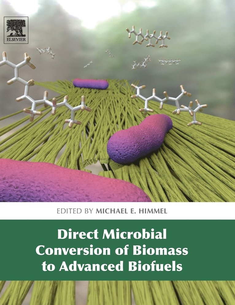 Direct Microbial Conversion of Biomass to Advanced Biofuels 1