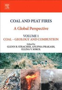 bokomslag Coal and Peat Fires: A Global Perspective