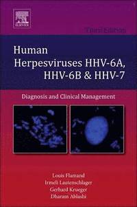 bokomslag Human Herpesviruses HHV-6A, HHV-6B and HHV-7