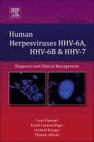 bokomslag Human Herpesviruses HHV-6A, HHV-6B and HHV-7