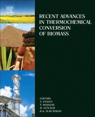 bokomslag Recent Advances in Thermochemical Conversion of Biomass