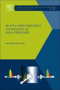 bokomslag In situ Spectroscopic Techniques at High Pressure