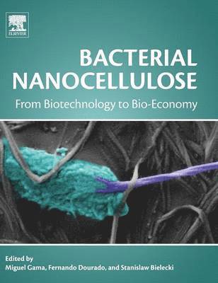 Bacterial Nanocellulose 1