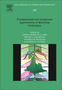bokomslag Fundamentals and Analytical Applications of Multiway Calibration