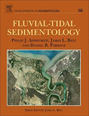 Philip Ashworth, James Best - Fluvial-Tidal Sedimentology, Inbunden