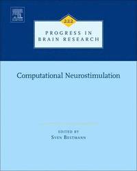 bokomslag Computational Neurostimulation