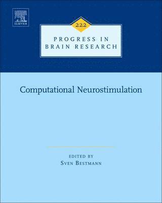 Computational Neurostimulation 1