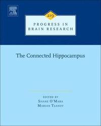 bokomslag Connected Hippocampus
