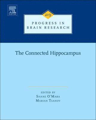 bokomslag Connected Hippocampus