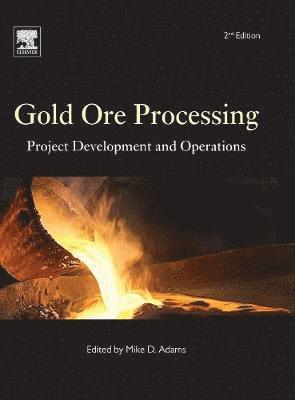 bokomslag Gold Ore Processing