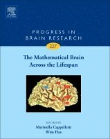 bokomslag Mathematical Brain Across the Lifespan