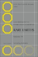 Jean-Claude Bünzli, Vitalij Pecharsky - Handbook on the Physics and Chemistry of Rare Earths, Inbunden