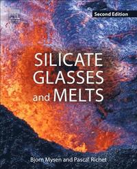 bokomslag Silicate Glasses and Melts