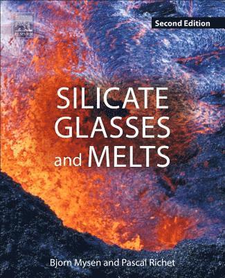 bokomslag Silicate Glasses and Melts