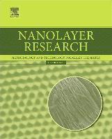 bokomslag Nanolayer Research